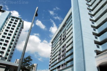 Blk 803 King George's Avenue (Kallang/Whampoa), HDB 3 Rooms #156142